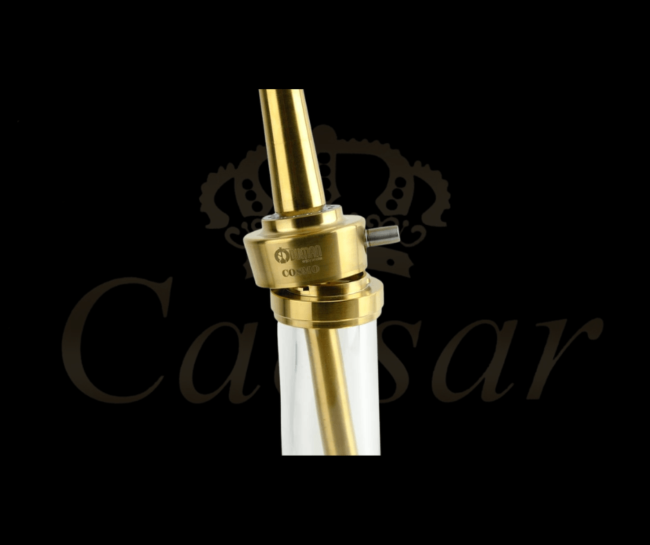 Oduman COSMO (Gold & Transparent) - Caesar Shisha