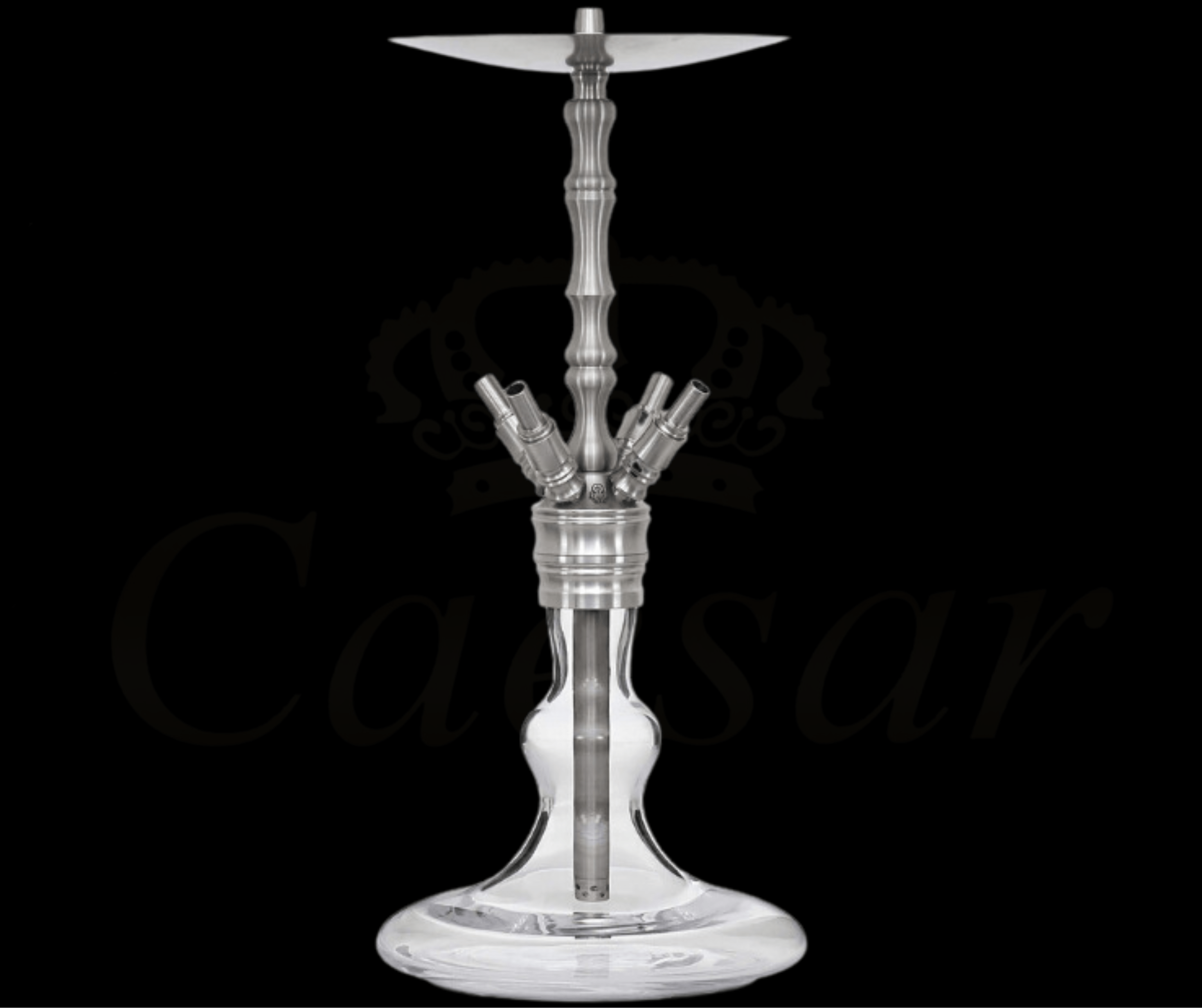 Octopuz Nautiluz - Clear - Caesar Shisha